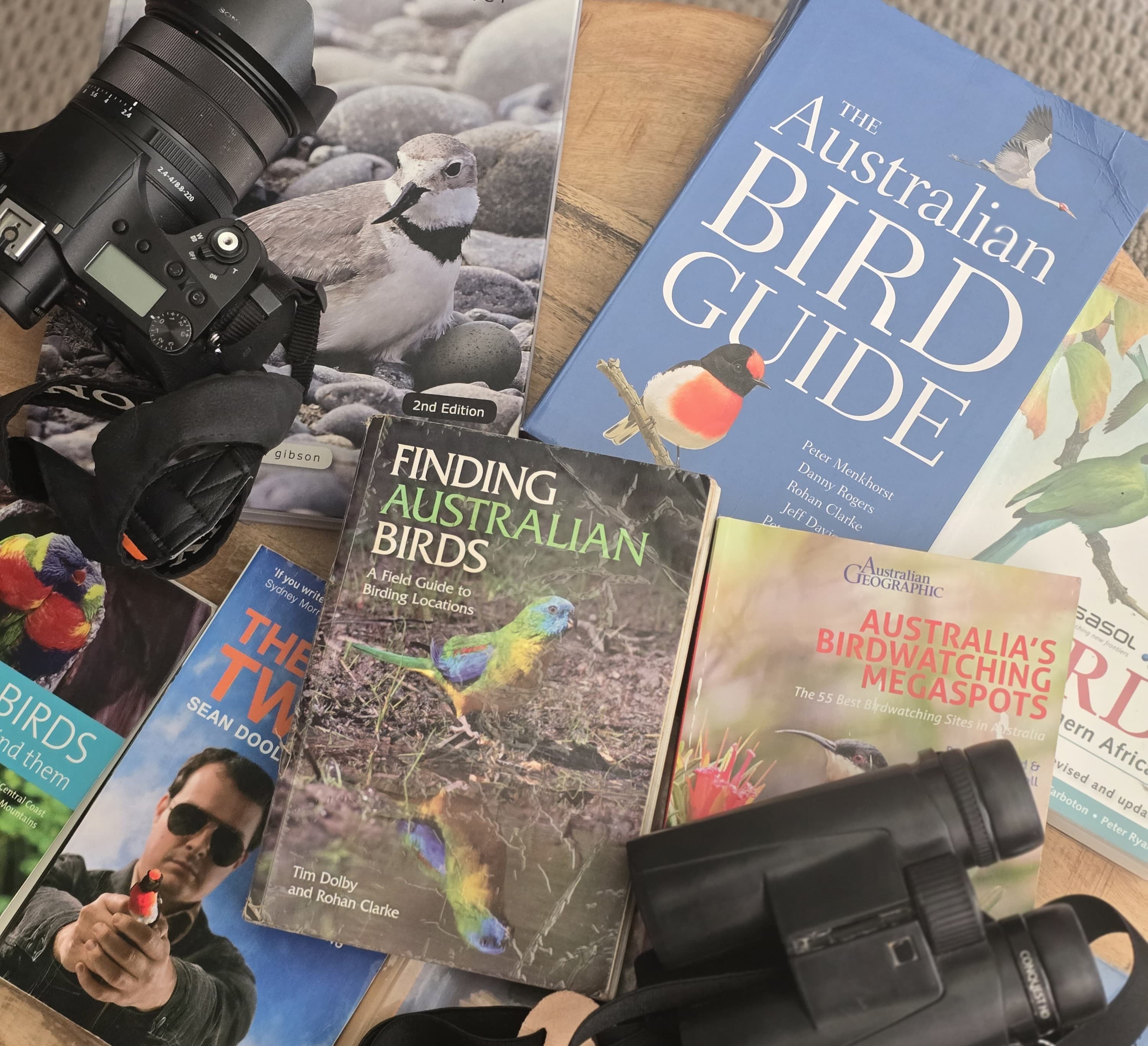 Camping activities including hiking and photography