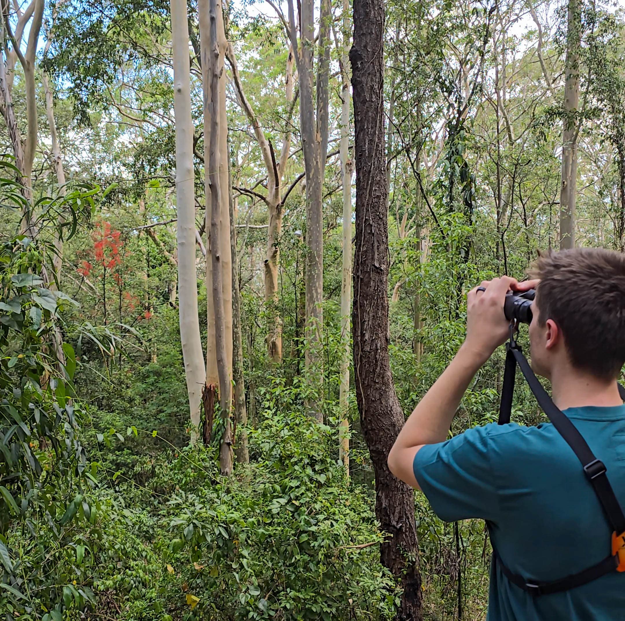 Birdwatching Sydney Locations near sydney