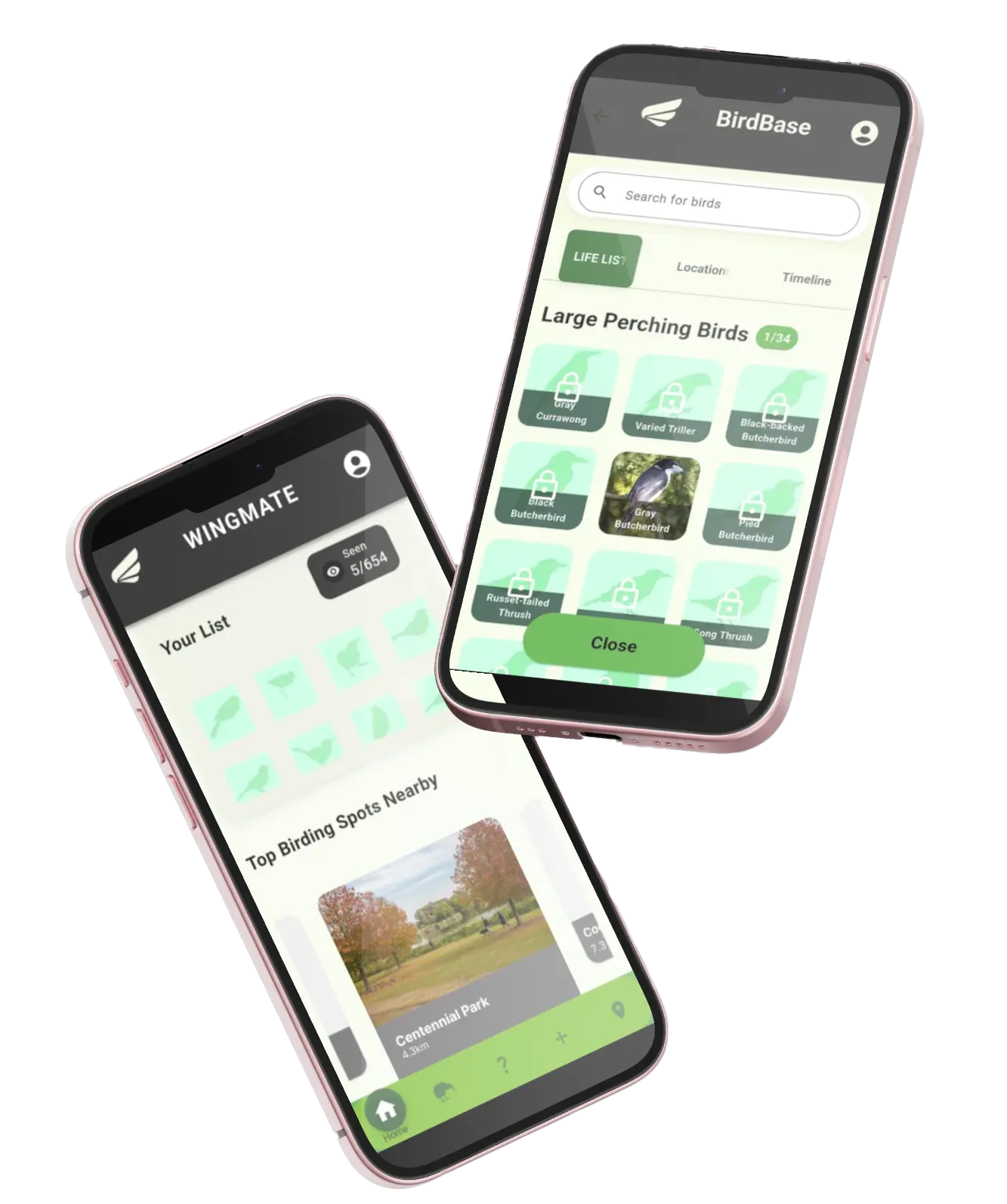 Wingmate App showing Australian bird collection