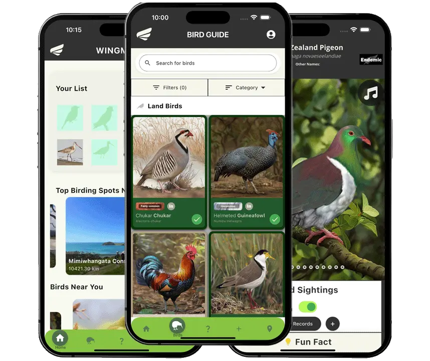 Wingmate App showing New Zealand bird collection