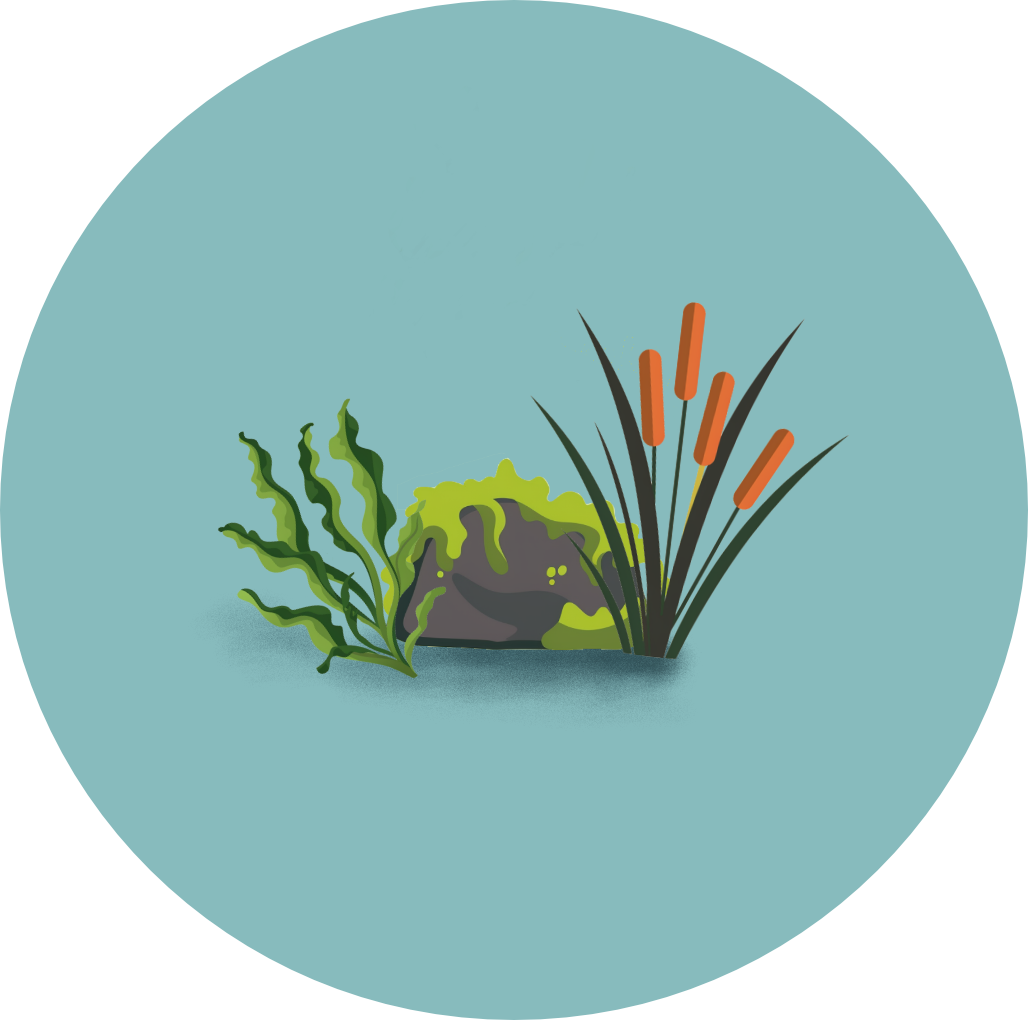 AquaticPlants_Algae icon