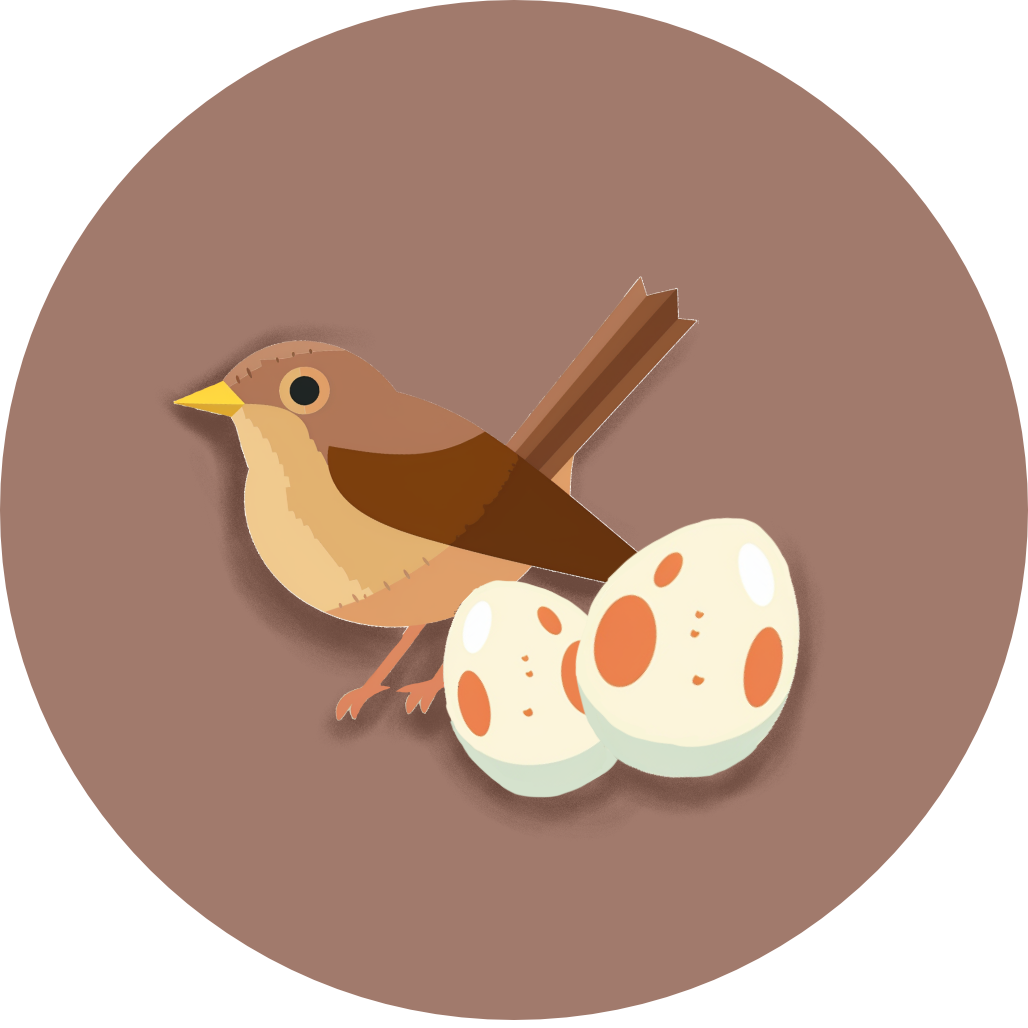 Birds_Eggs icon
