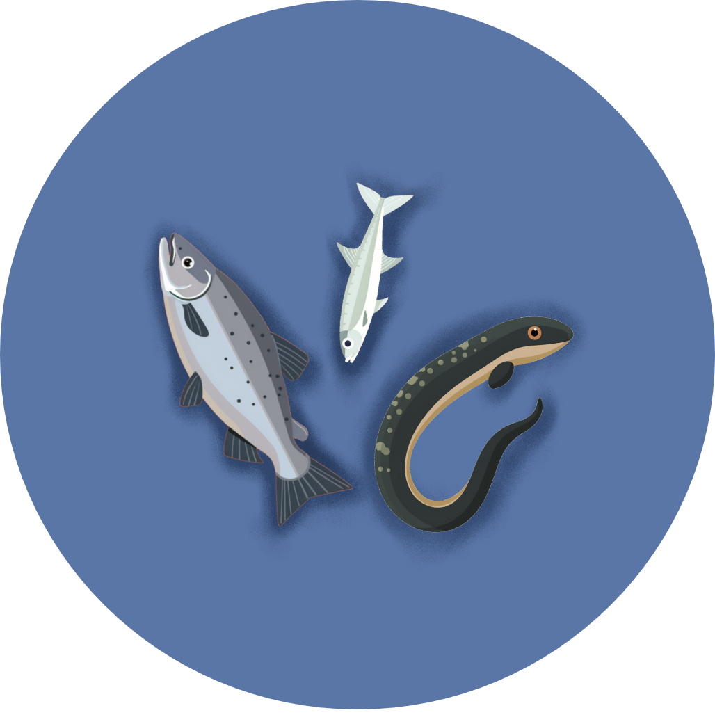 Fish_AquaticPrey icon