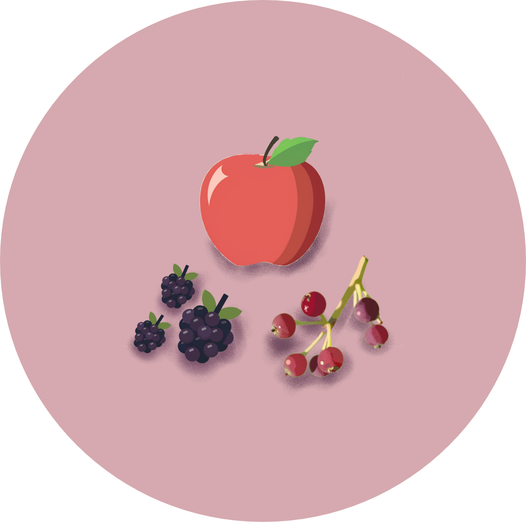 Fruit icon