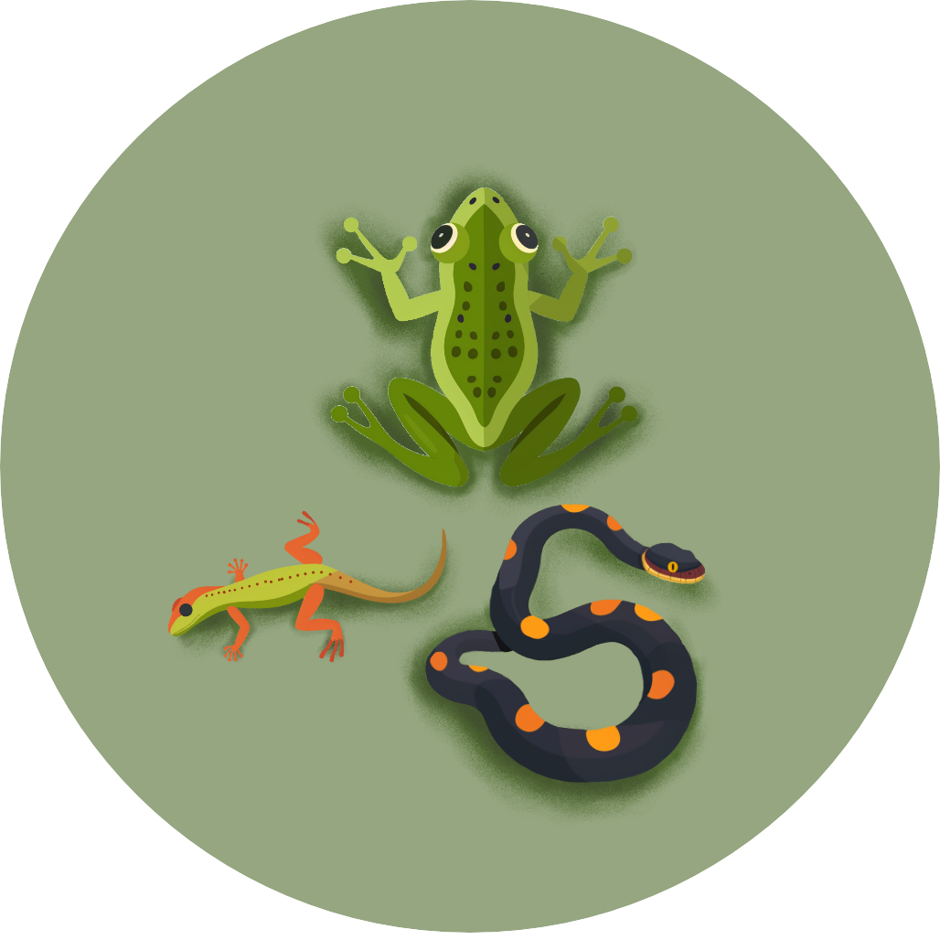 Reptiles_and_amphibians icon