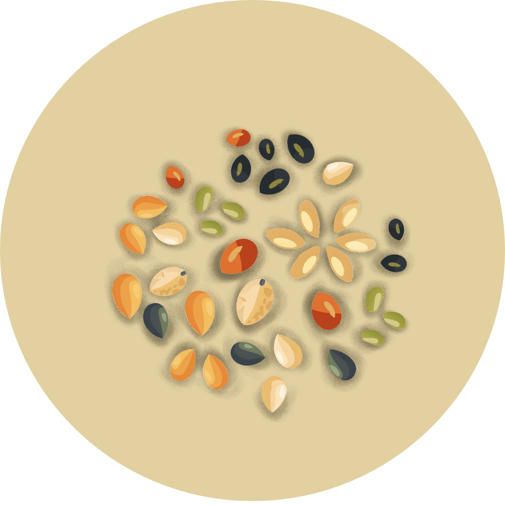 Seeds icon