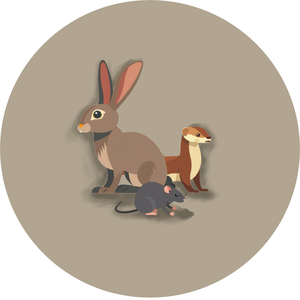Small_mammals icon